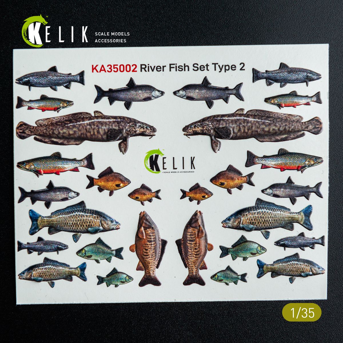 1:35 River Fish Set Type 2 - 3D-Decal for Dioramas
