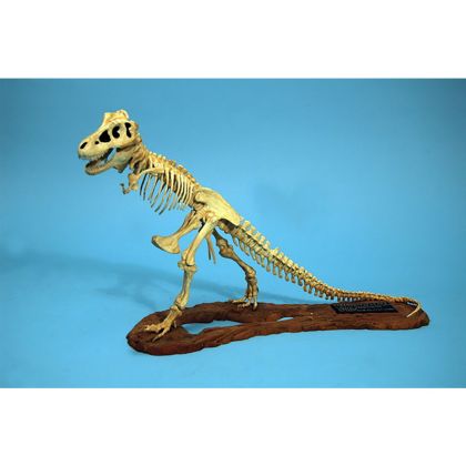 1:24 Tyrannosaurus Skeleton Model