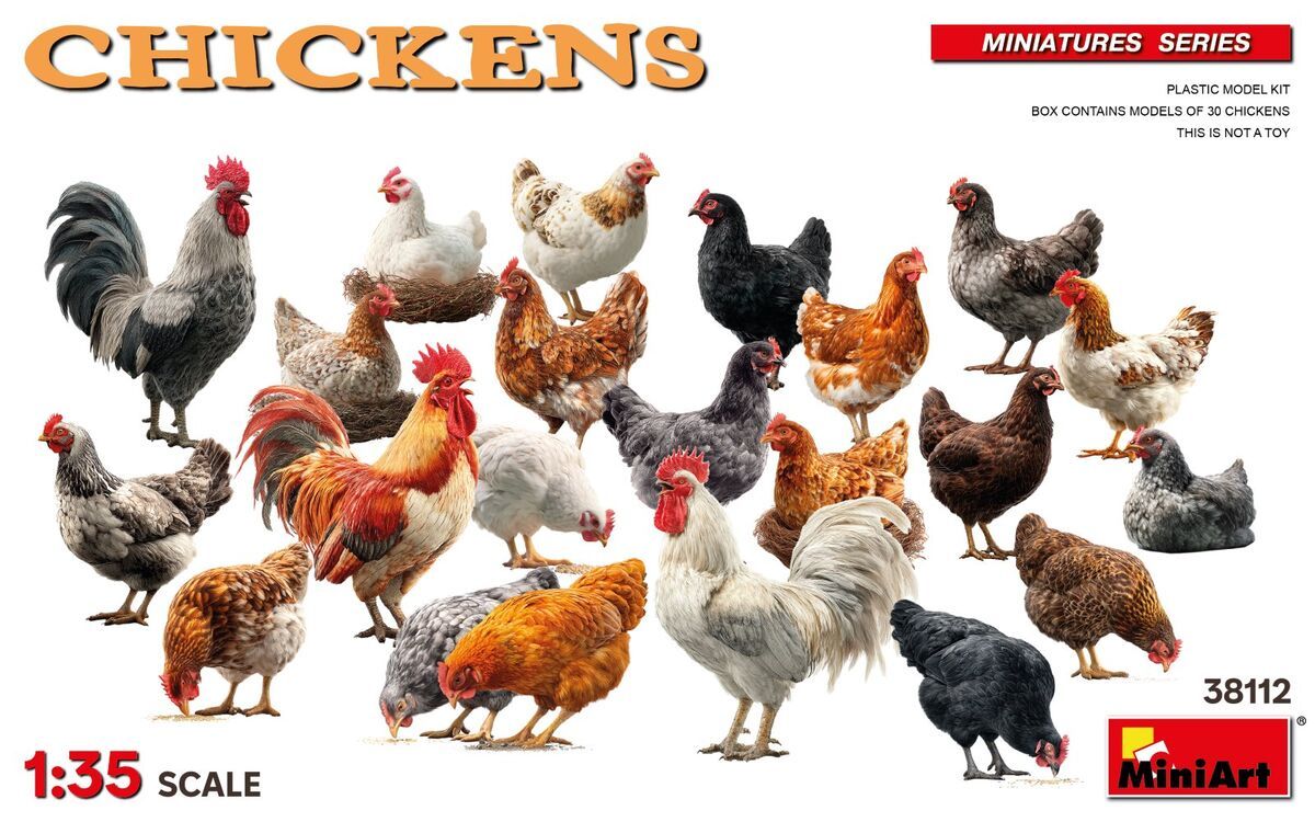 1:35 Chickens