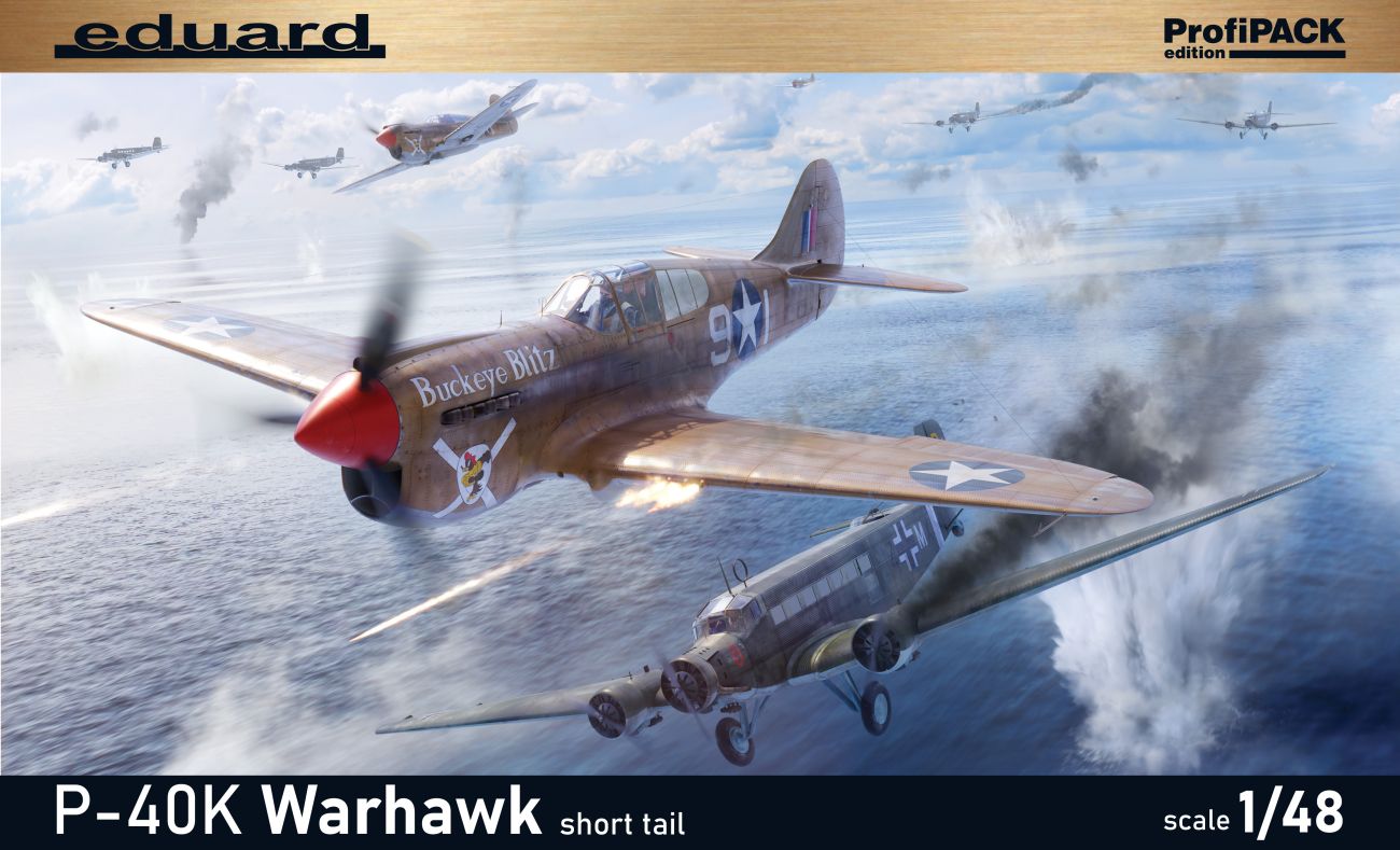 1:48 P-40K short tail