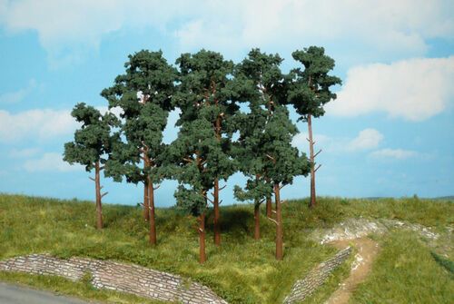 Scots Pine Trees 16 cm / 2 pc