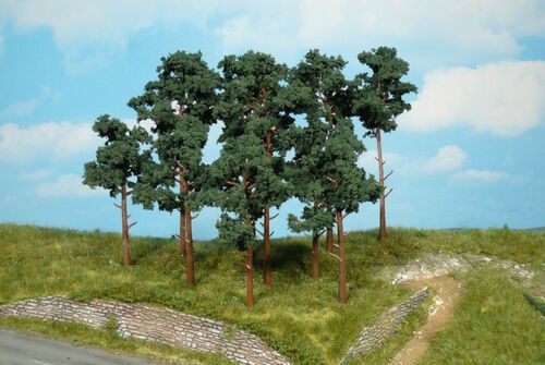Scots Pine Trees 10 cm / 4 pc