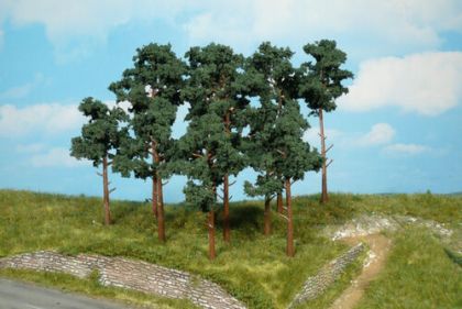 Scots Pine Trees 10 cm / 4 pc