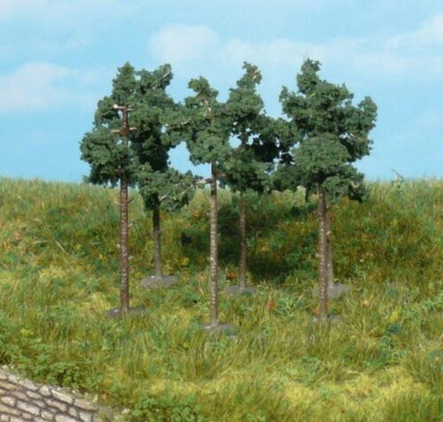 Pine 6 cm, 6 pcs