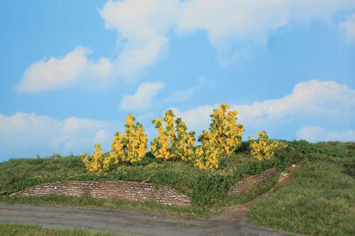 Forsythia Bushes 3-6 cm / 6 pc