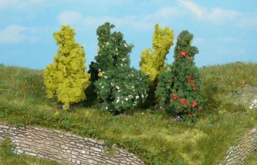 Shrubs 6 cm, 5 pcs