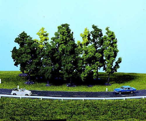 Deciduous Trees 7-12cm (12)