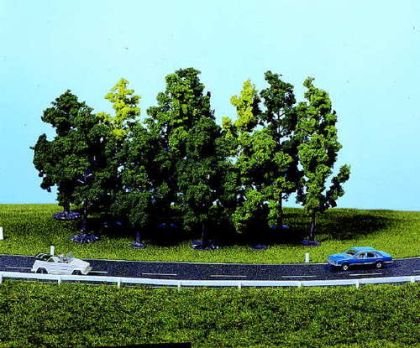 Deciduous Trees 7-12cm (12)
