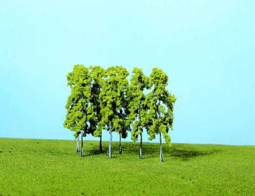Silver Birch Trees 14cm (14)