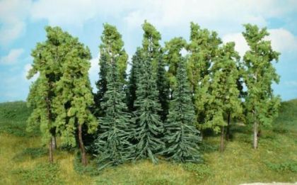 Deciduous trees - 14-16 cm - 12 pcs