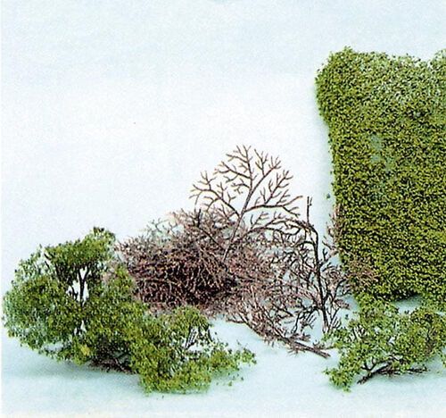 Bush Kit 2-6 cm / 15 pc