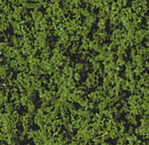 Foliage flakes medium green
