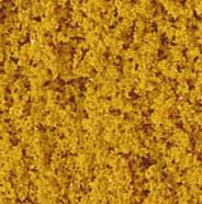 Autumn Foliage Yellow