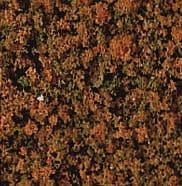 Autumn Foliage Brown