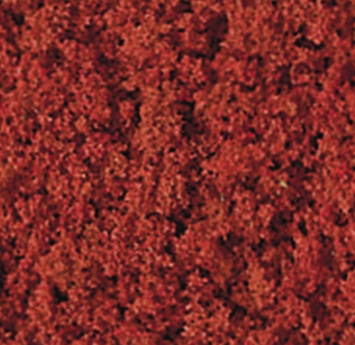 Autumn Foliage Red 