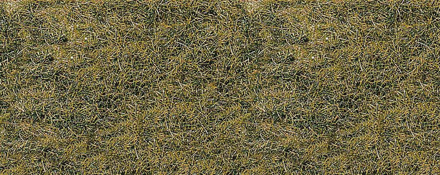 Gauge Neutral realistic wild grass mountain meadow / 28 x 14 cm