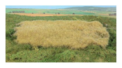 Gauge Neutral realistic wild grass hayfield / 28 x 14 cm