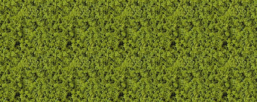 Gauge Neutral Foliage compact light green 28x14 cm