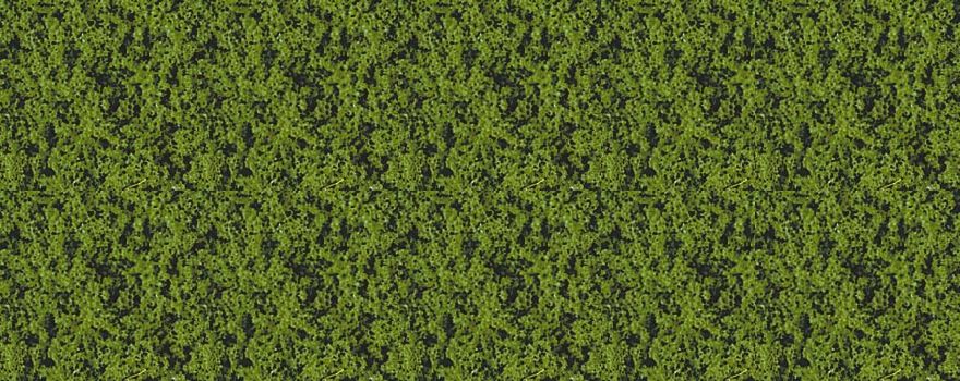 Gauge Neutral foliage compact medium green / 28 x 14 cm