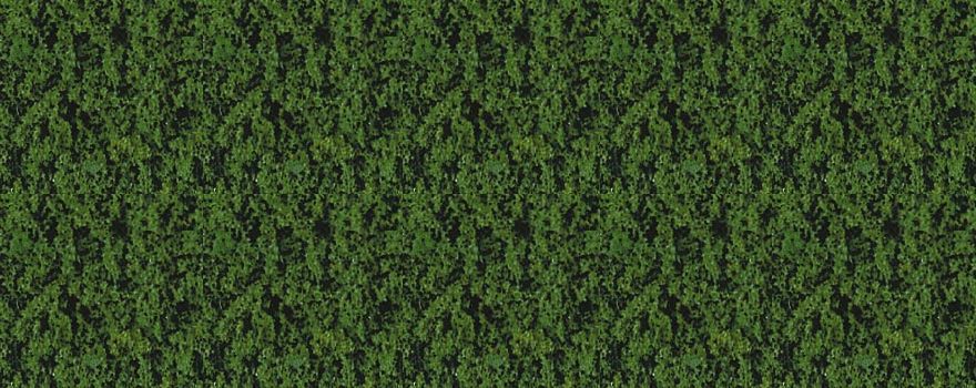 Gauge Neutral foliage compact dark green / 28 x 14 cm
