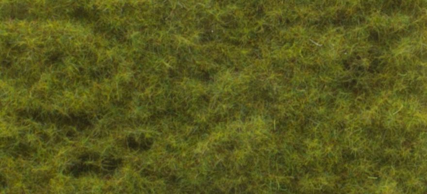 Gauge Neutral Meadow grass autumn, 28 x 14 cm