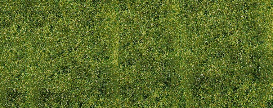 Gauge Neutral Meadow grass mountain meadow 28x14 cm