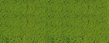 Gauge Neutral mikroflor light green / 28 x 14 cm