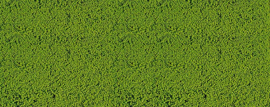 Gauge Neutral mikroflor medium green / 28 x 14 cm