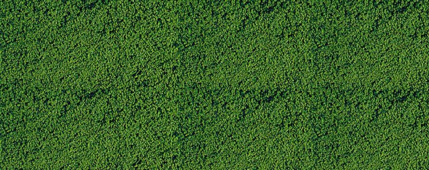 Gauge Neutral mikroflor dark green / 28 x 14 cm