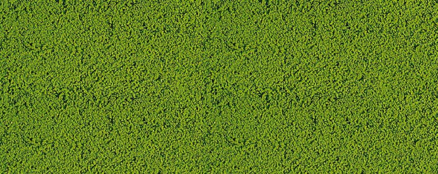Gauge Neutral mikroflocks medium green / 200 ml