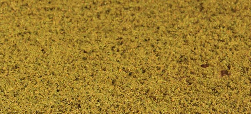 Gauge Neutral Leaf foliage autumnal, yellow, 28 x 14 cm