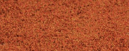 Gauge Neutral Leaf foliage autumnal, brown, 28 x 14 cm