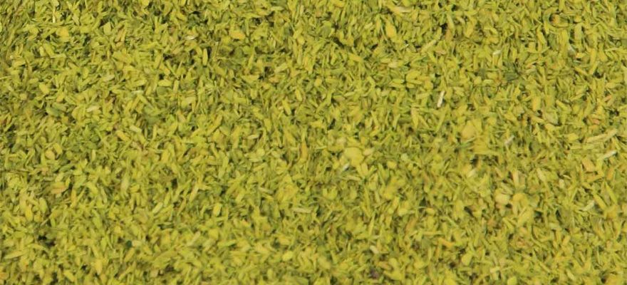 Foliage Leaves Light Green