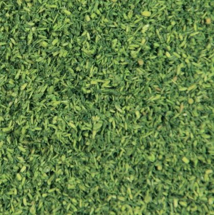 Foliage Leaves Medium Green