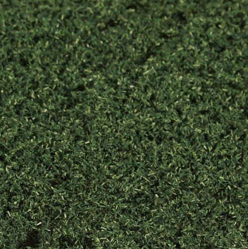 Foliage Leaves Pine Green