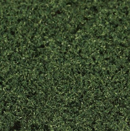Foliage Leaves Pine Green