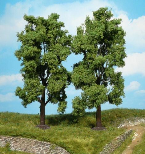Ash Tree 19 cm, 2 pcs