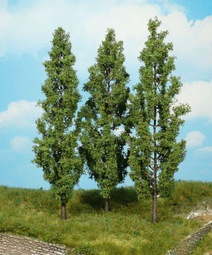 Poplar Trees 18 cm (3 pcs)