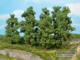 4 fruit trees 9-11cm