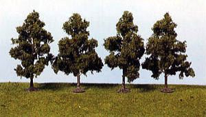 Fruit trees, 5-8 cm, 5pcs 