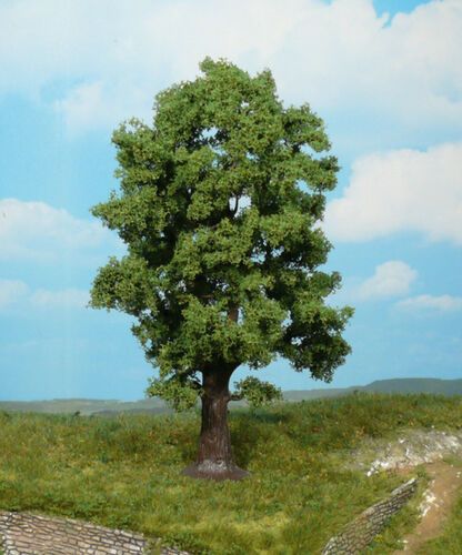 Oak Tree 18 cm