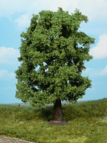 Chestnut Tree 20 cm, 1 pc.