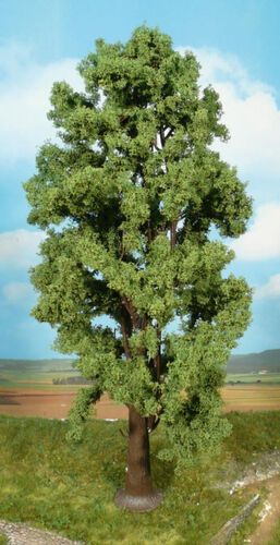 Mountain Maple 35 cm, 1 pc.