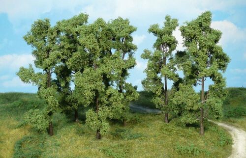 Alder 18 cm, 6 pcs