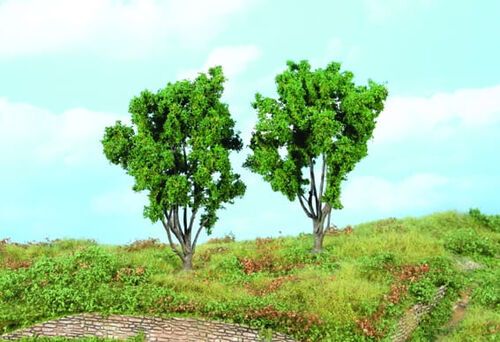 Mimosa 13 cm, 2 pcs
