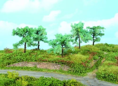 Olive Tree 8 - 10 cm, 5 pcs