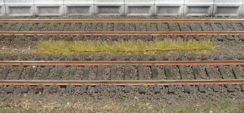 Gauge Neutral grass strips autumn 5-6 mm / 10 pc