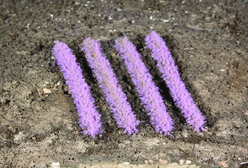 Lavender Tufts - Strips 5 - 6 mm, 100 pcs