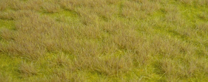 Gauge Neutral wild grass savannah / 45 x 17 cm