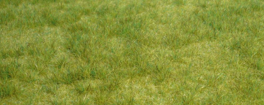 Gauge Neutral wild grass spring / 45 x 17 cm